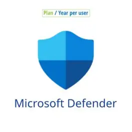 Microsoft Defender Install And Setup