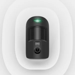 IR motion detector supporting the photo by alarm feature