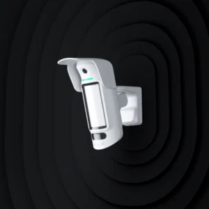Wireless outdoor curtain motion detector with photo verification